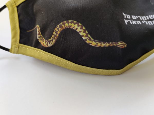 ⁦מסכת פנים⁩ – תמונה ⁦2⁩