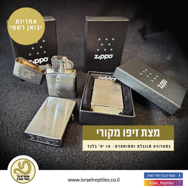 מצת זיפו Zippo