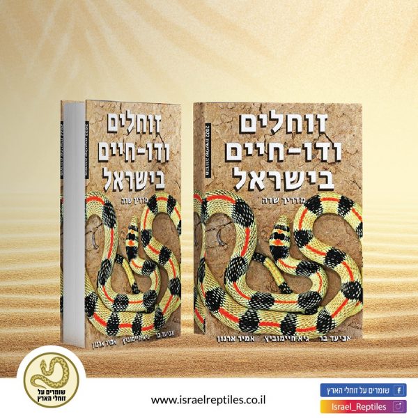 זוחלים ודו-חיים בישראל מדריך שדה